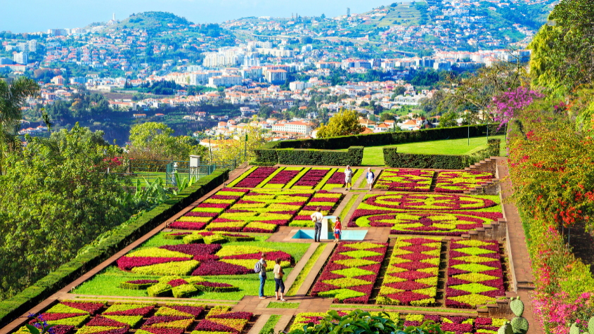 Scenic coach tours Funchal 