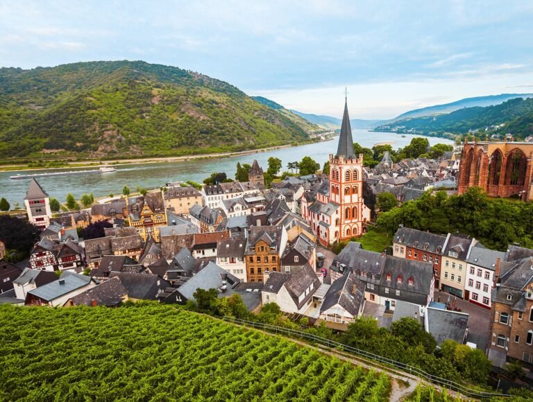 Private coach hire Rhine Gorge