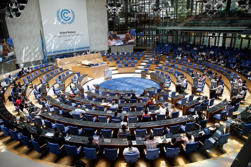 Executive coach hire for government in Bonn