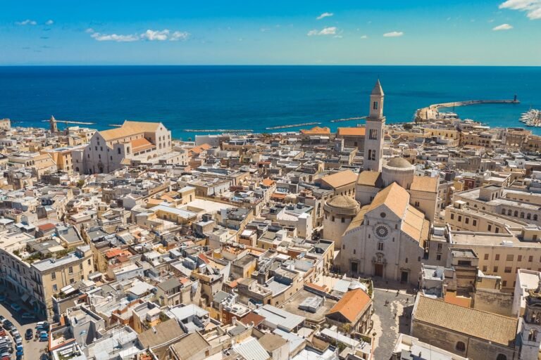 "Bari Bus Rental Services"