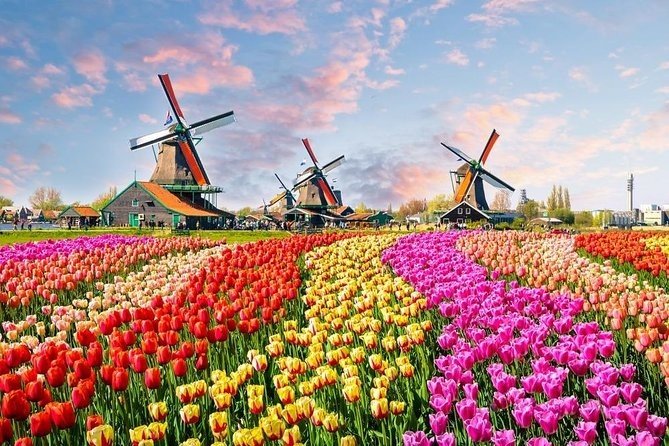 Best coach tours to Zaanse Schans from Amsterdam