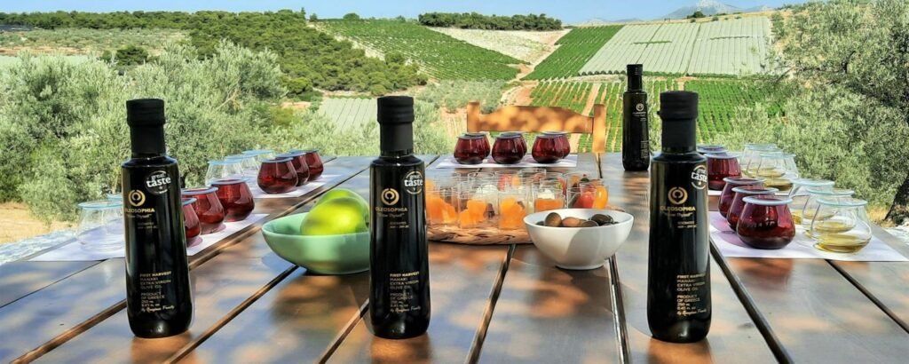 Vineyard and Olive Grove Coach Travel