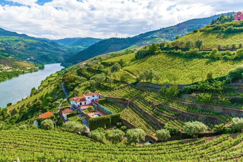 Douro Valley Transport from Porto Airport