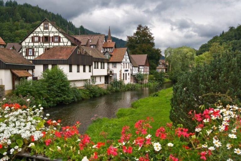 Black Forest nature trip coach services