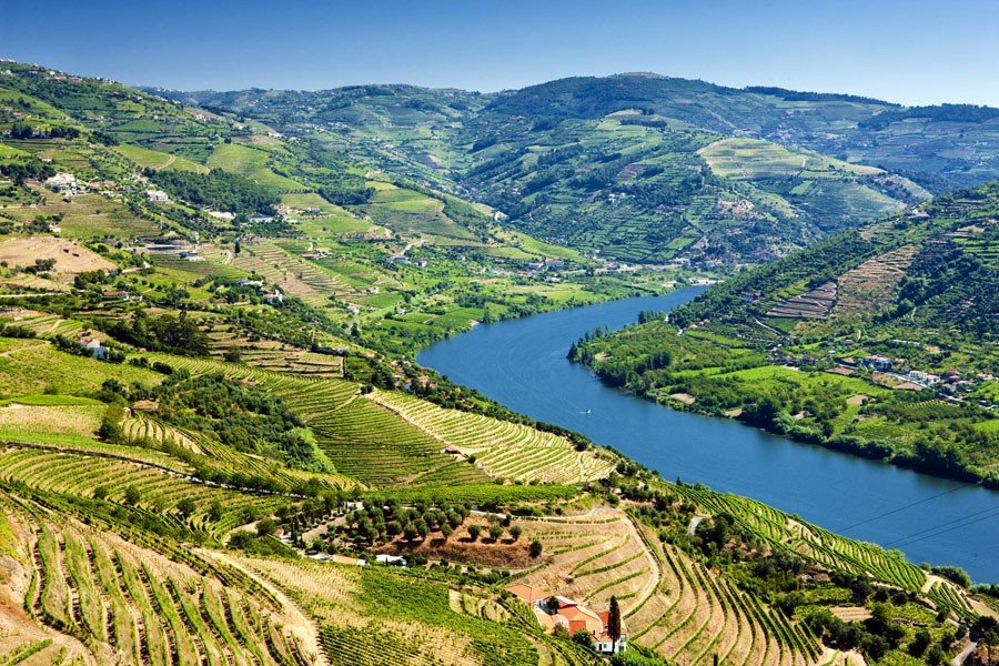 Luxury Coach Tour Douro River Portugal

