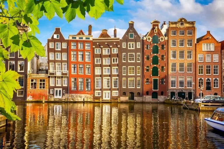 Tulip field sightseeing coach tour Netherlands