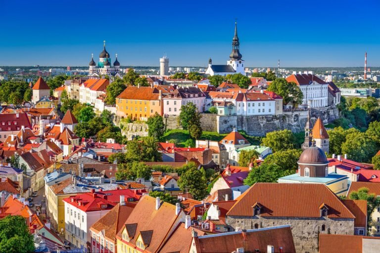 Europe Reunion Trip Coach Services