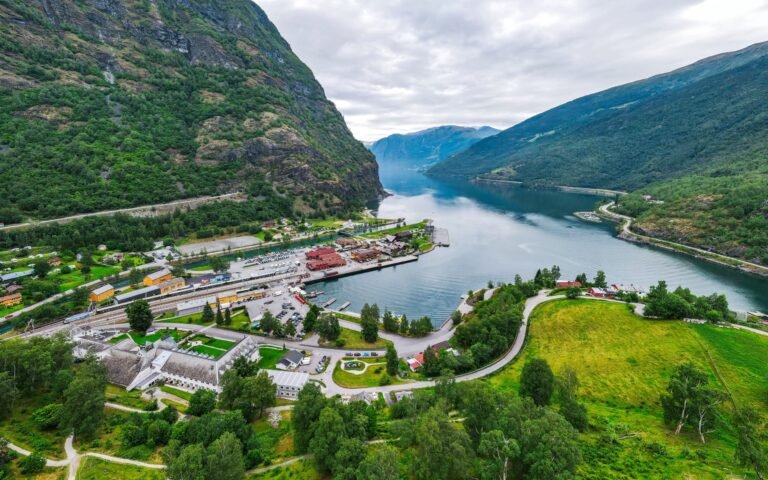Scenic Fjord Overlook Coach Tour Norway