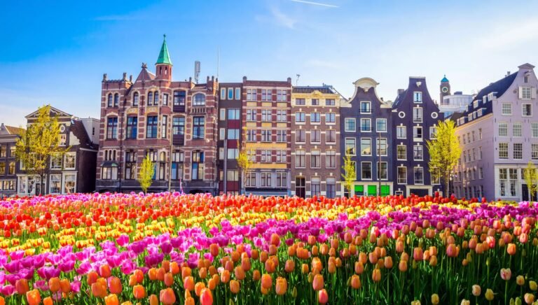 Utrecht Group Transportation Services