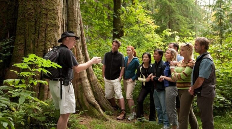 Fully Guided Coach Tours in Europe