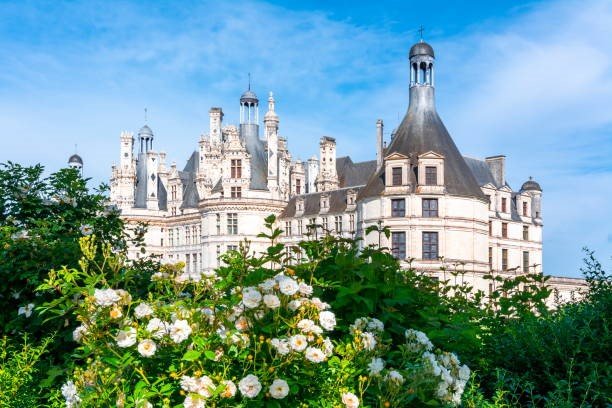 Keukenhof and Loire Valley Springtime
