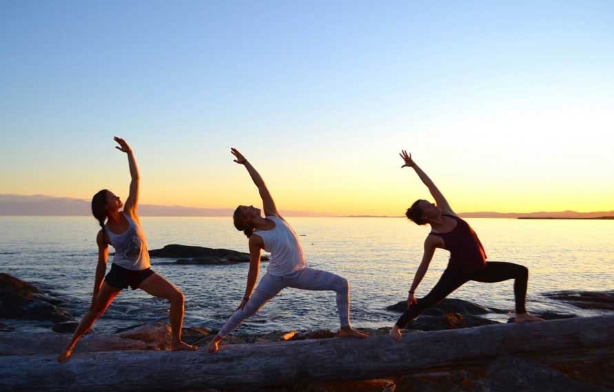 ailored to Wellness Schedules