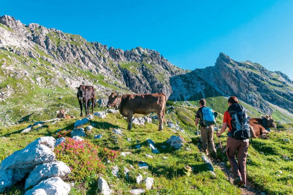 Tyrolean folk village group transport