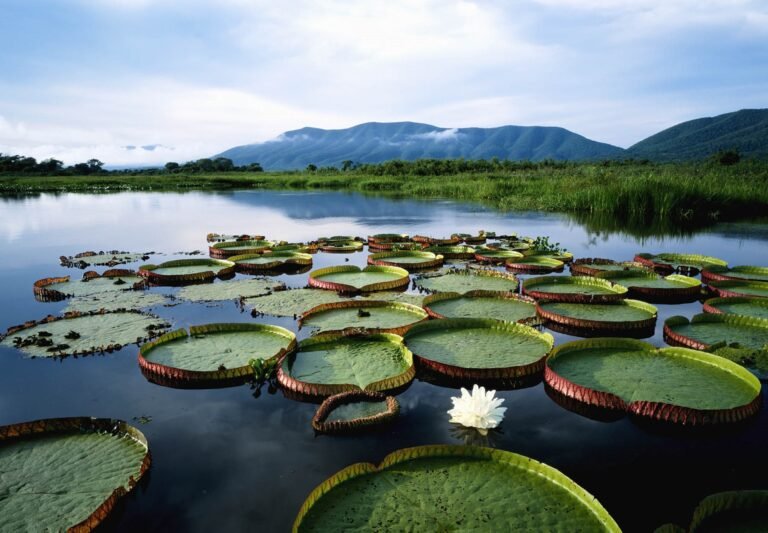 unesco-environmental-tour-logistics