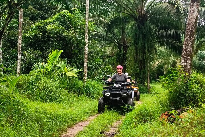 Group Coach Hire for Off-the-Grid Nature Trails