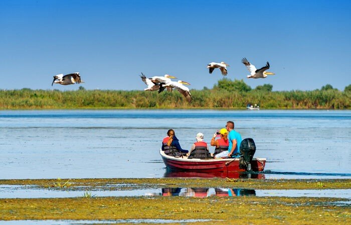Eco-Friendly for Birdwatching Groups