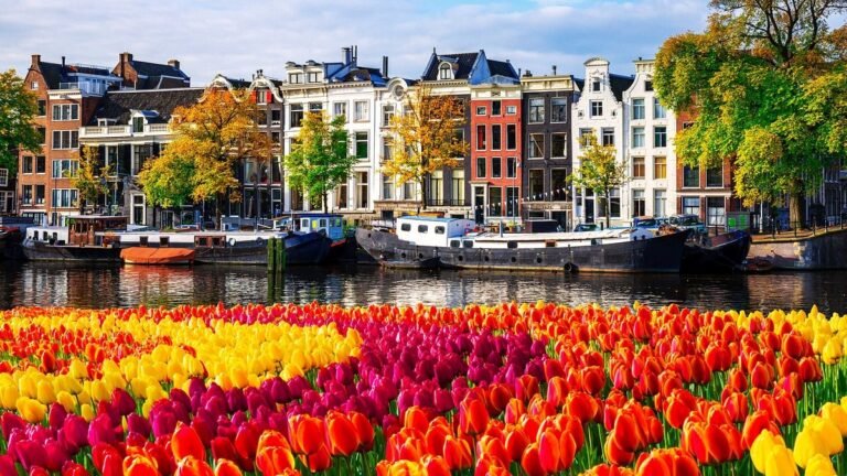 Luxury Coach Hire for Holland Tulip Trips