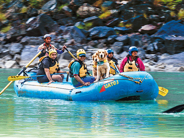 "Pet-Friendly Bus Hire Europe"