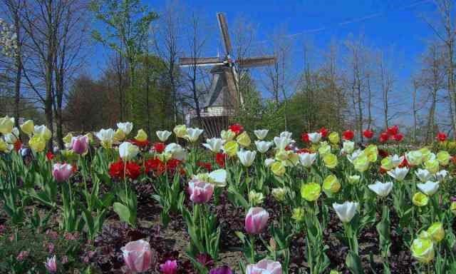Keukenhof and Loire Valley Springtime 