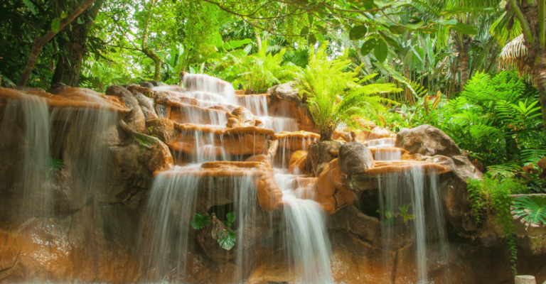 Wellness Coach Hire for Waterfall Retreats