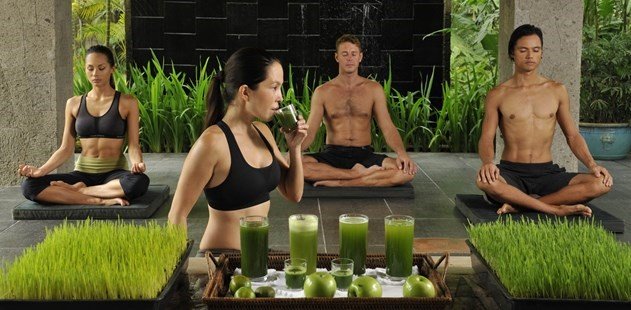 Luxury Coach Hire for Health Retreat Groups