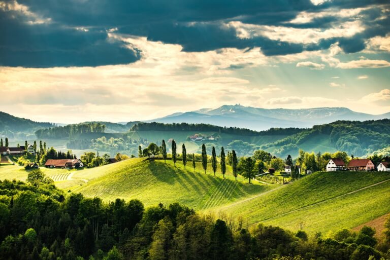 Autumn Vineyard Coach Tours in France and Italy