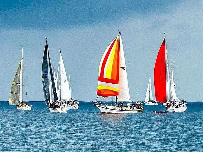 Sailing Team Logistics and Coach Hire