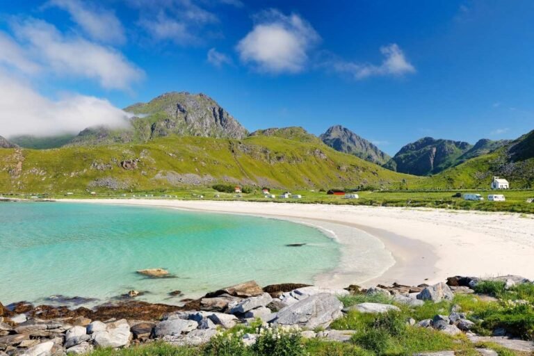 Eco-Tour Coach Hire for Nordic Seaside