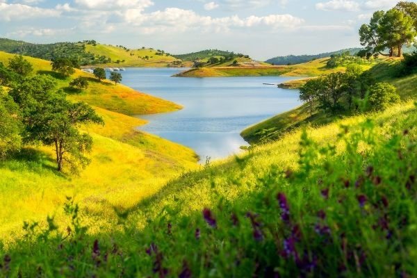 Nature Retreat Coach Hire for Digital Detox Groups