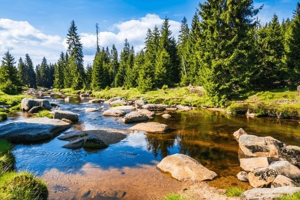 Luxury Coach Hire for European Spa Tours