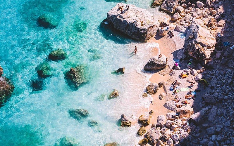 Blue Zone Wellness Coach Hire for Groups 