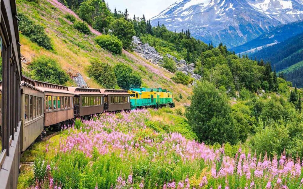 Scenic Rail Route Coach Transfers for Train Lovers