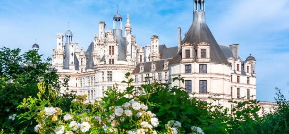 Keukenhof and Loire Valley Springtime