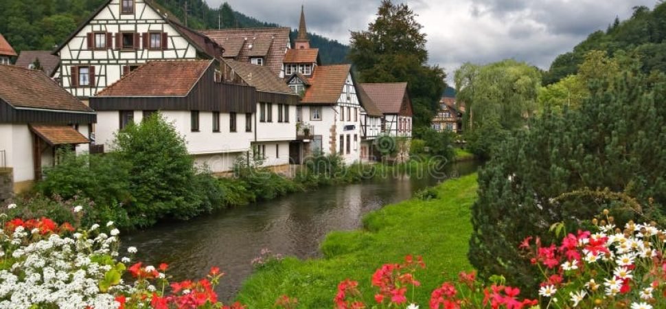 Black Forest nature trip coach services