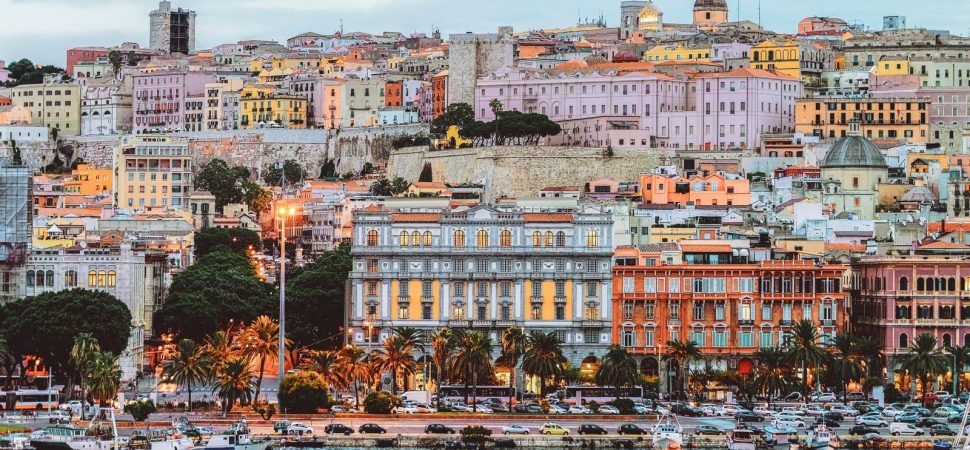 Blue Zone Wellness Coach Hire for Groups