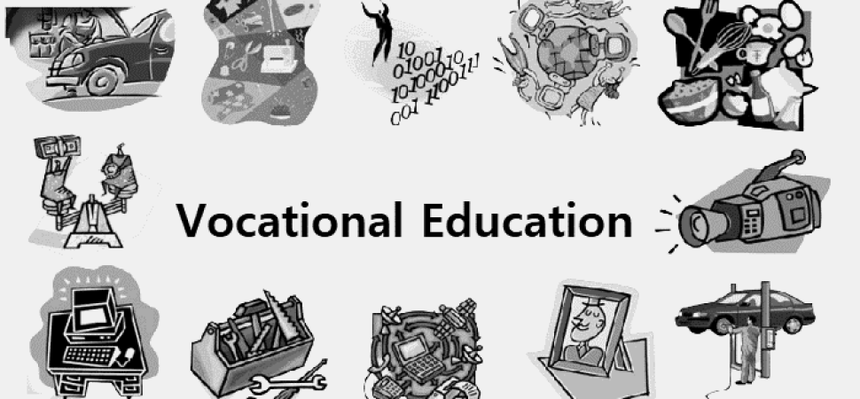 Safe and Affordable Coach Travel for Vocational Colleges