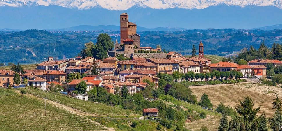 Charter Coaches for Seasonal Truffle Hunting Trips