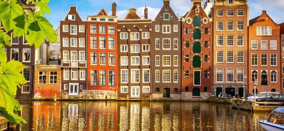 Tulip field sightseeing coach tour Netherlands