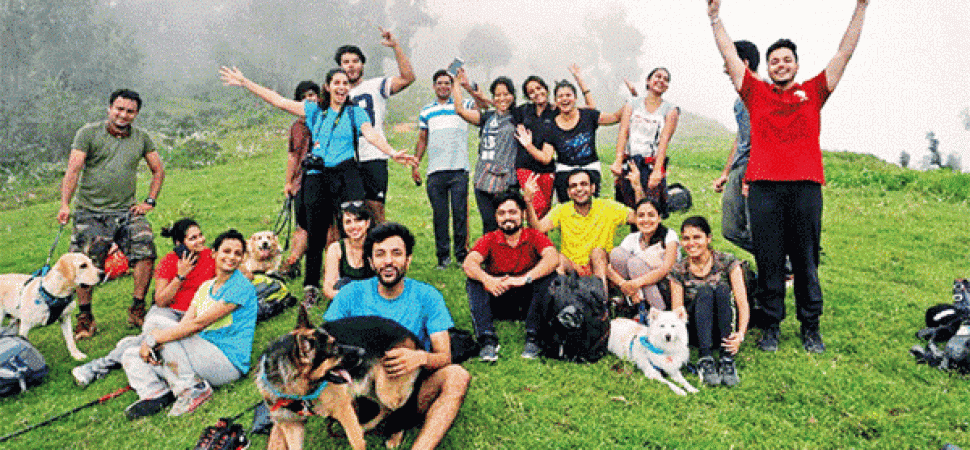 "Pet-Friendly Bus Hire Europe"