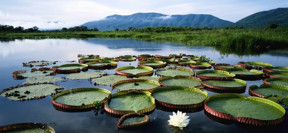 unesco-environmental-tour-logistics
