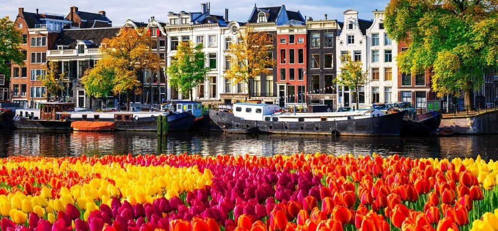 Luxury Coach Hire for Holland Tulip Trips