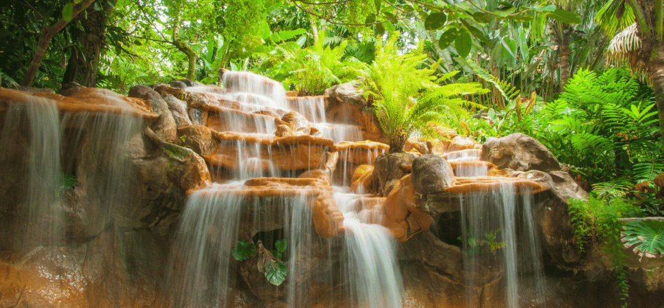 Wellness Coach Hire for Waterfall Retreats