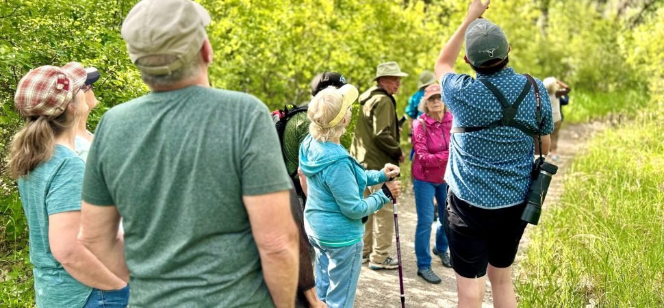 Accessible Coach Hire for Senior Outdoor Trips