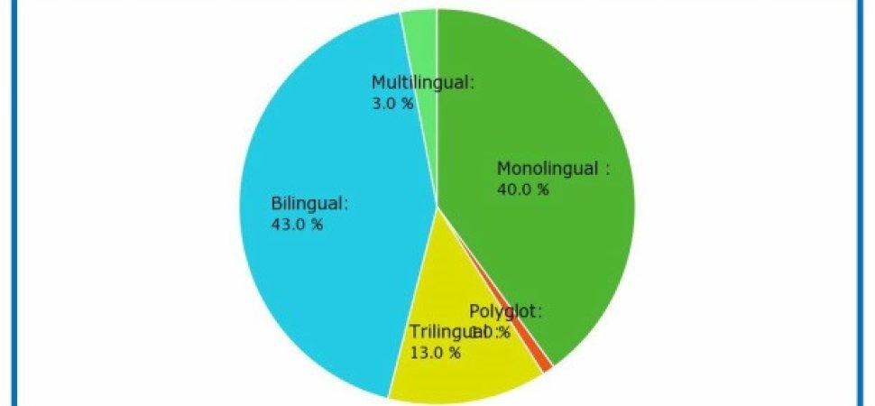 Luxury Coach Hire with Interpreter Drivers