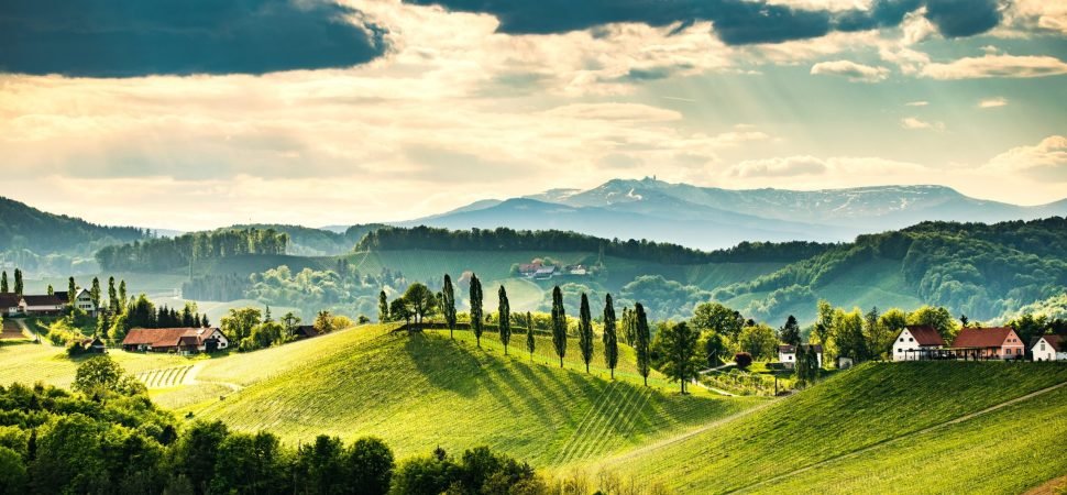 Autumn Vineyard Coach Tours in France and Italy