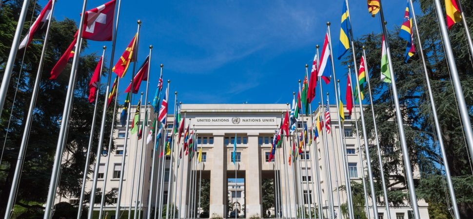 Luxury Coach Rental for Diplomatic Delegations