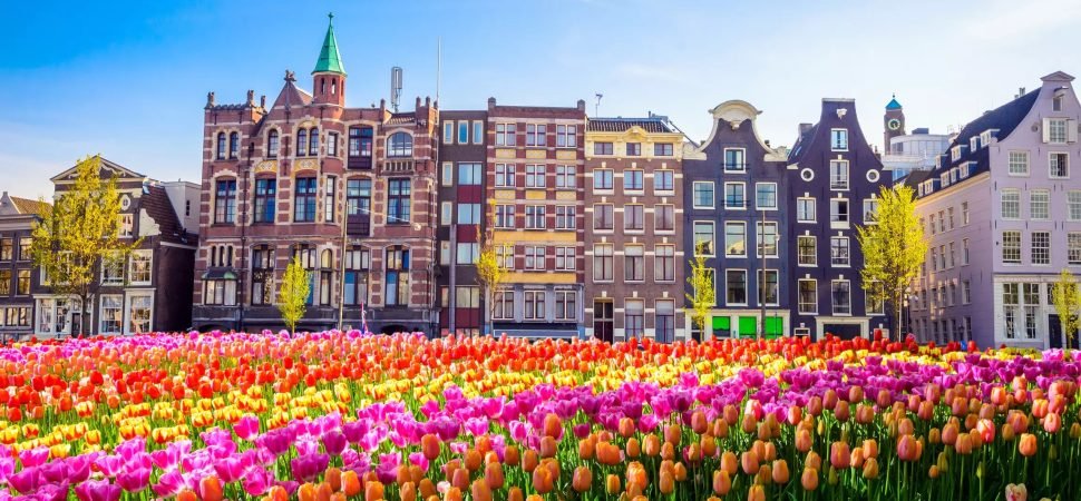 Utrecht Group Transportation Services