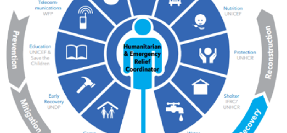 Group Transport for NGOs and Aid Organizations