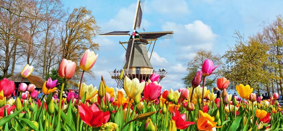 Spring Flower Tour Coach Hire Netherlands