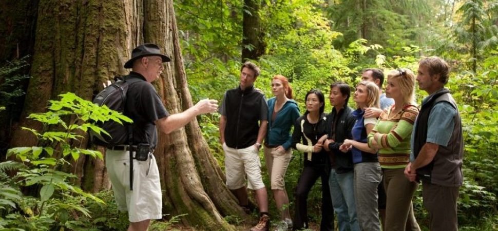 Fully Guided Coach Tours in Europe
